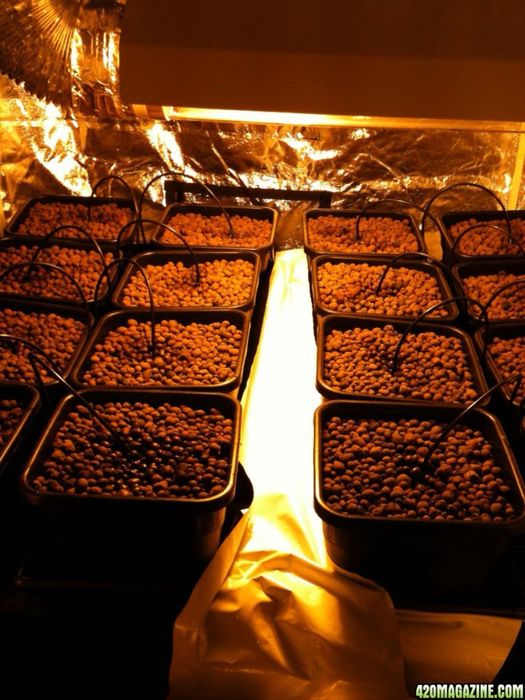 Sistema de rega automático hidroponia WILMA 16 vasos