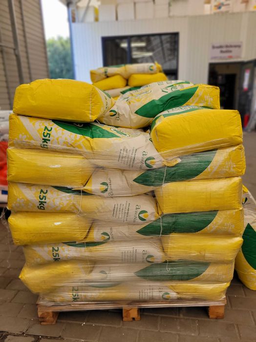 Nasiona kwalifikowane Owies Bingo, Rambo