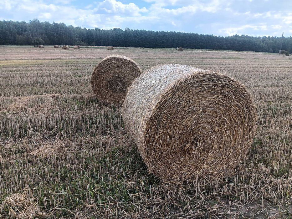 Sprzedam słome bele 130