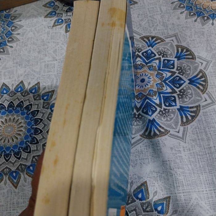 2 livros colecção Harlequin (francês). Portes incluídos