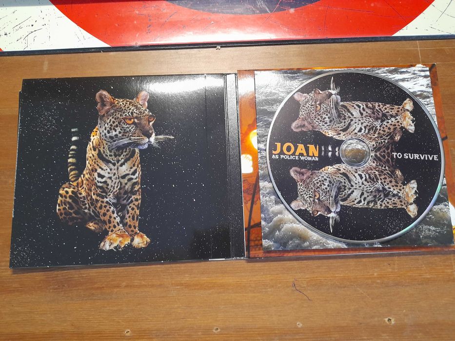 Pack d 4 Cds gravações originais musica alternativa Indie . Como novos