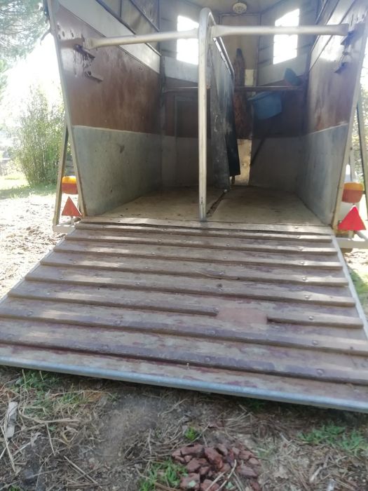 Reboque para transporte de cavalos