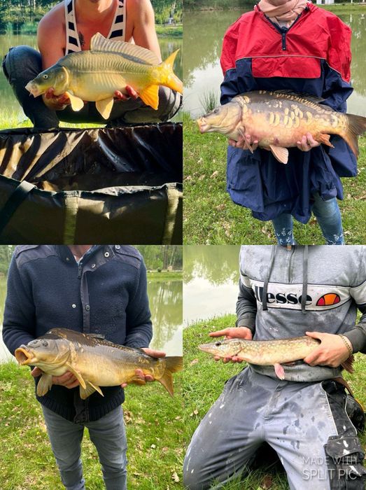 Domki letniskowe nad stawami / MARIANKOWO