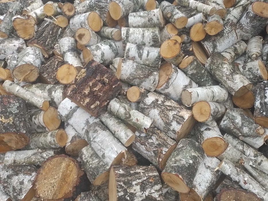 Продам дрова колені Львів. область