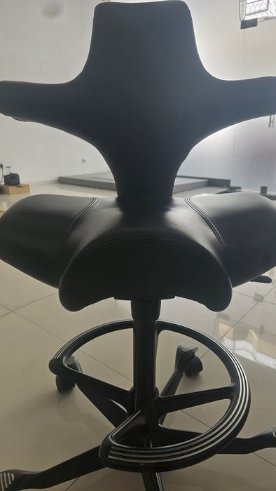 Cadeira ergonomica HAG Capisco