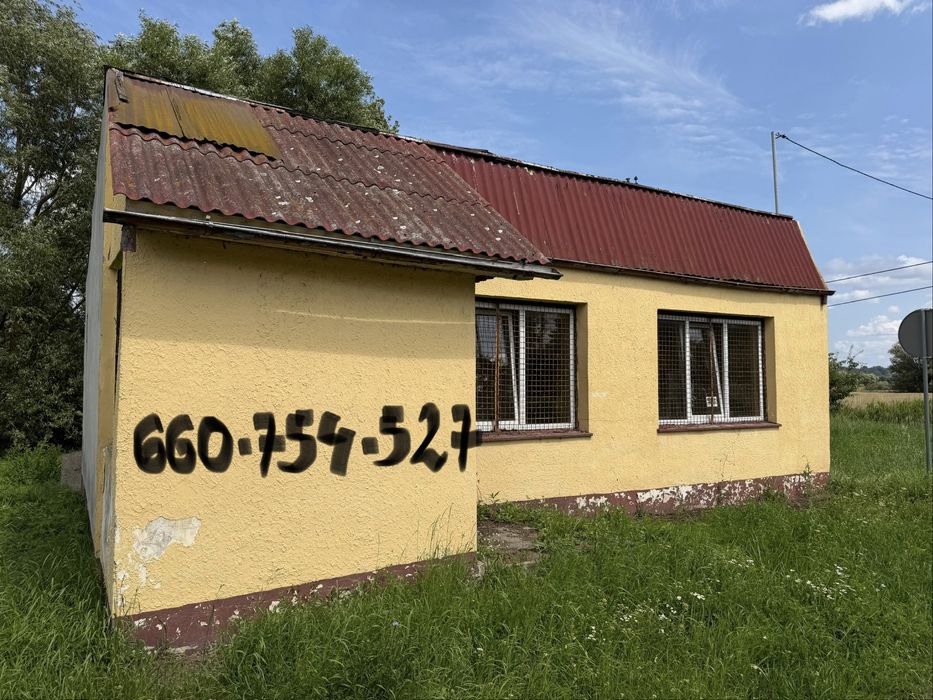 Zdjęcie 4