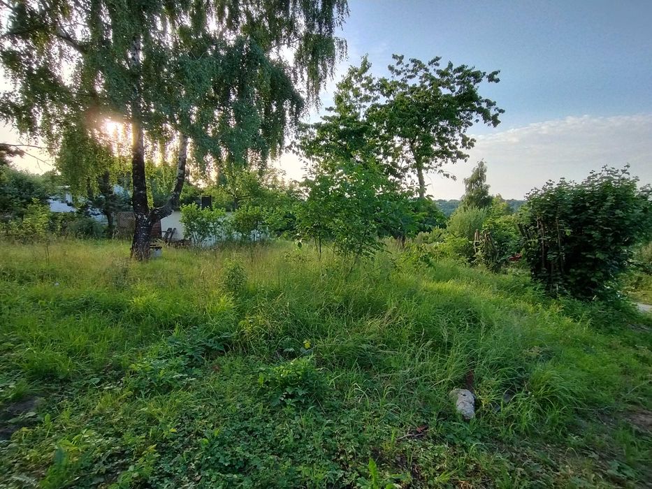 Działka rekreacyjna, ogródek działkowy ROD Lipnik - duża