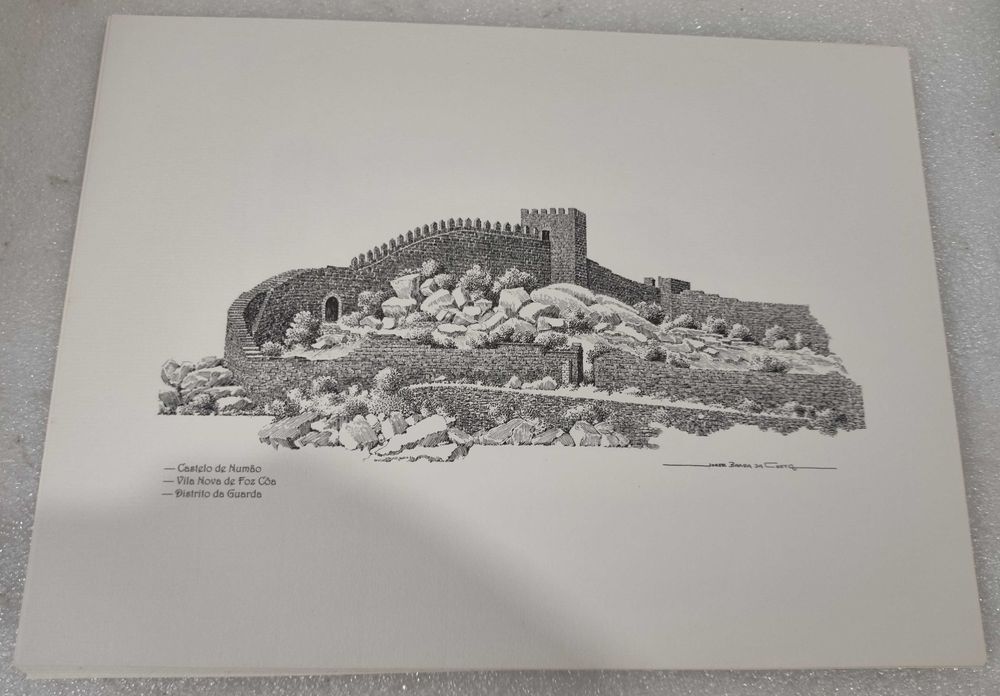 Castelos do Distrito da Guarda – Jorge Braga da Costa