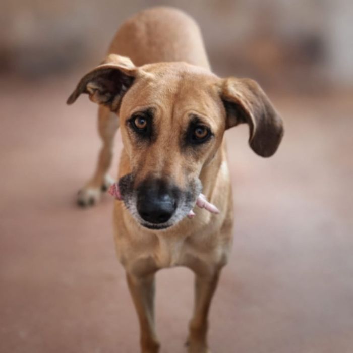 Menina jovem adulta só para quem me amar verdadeiramente