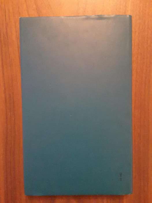 Rui Miguel Saramago - A FRAUDE