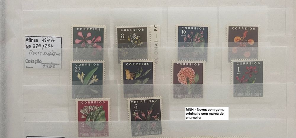 Timor - Ex-colónia Portuguesa