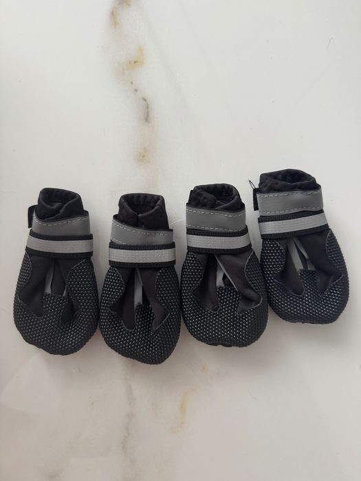 Взуття для собак