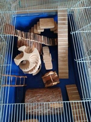 Klatka dla chomika 2 poziomowa z dodatkami