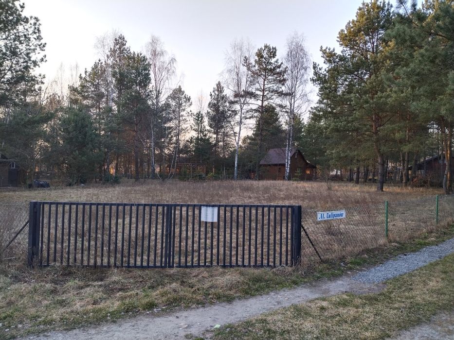 Zdjęcie 3