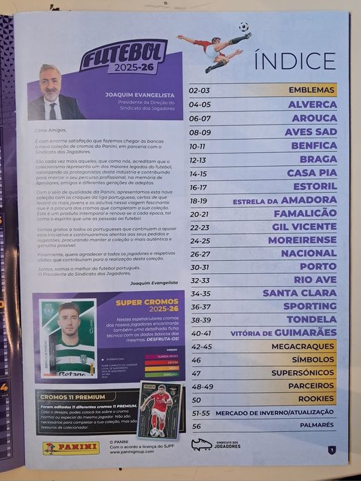 Panini Cadernetas Vazias 2025/2026
