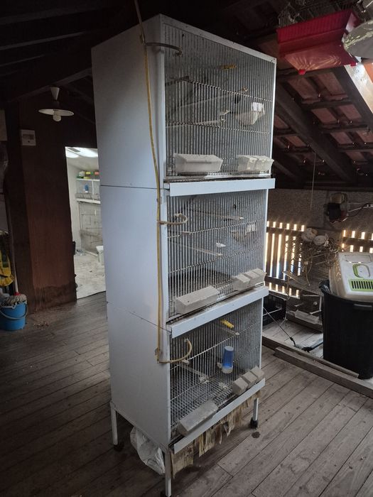 Vendo gaiolas para pássaros