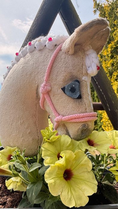Hobby Horse ze sprzętem