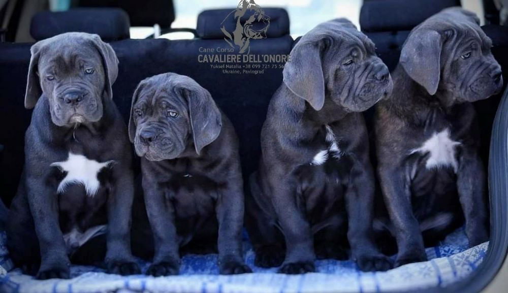 За щастям до нас!