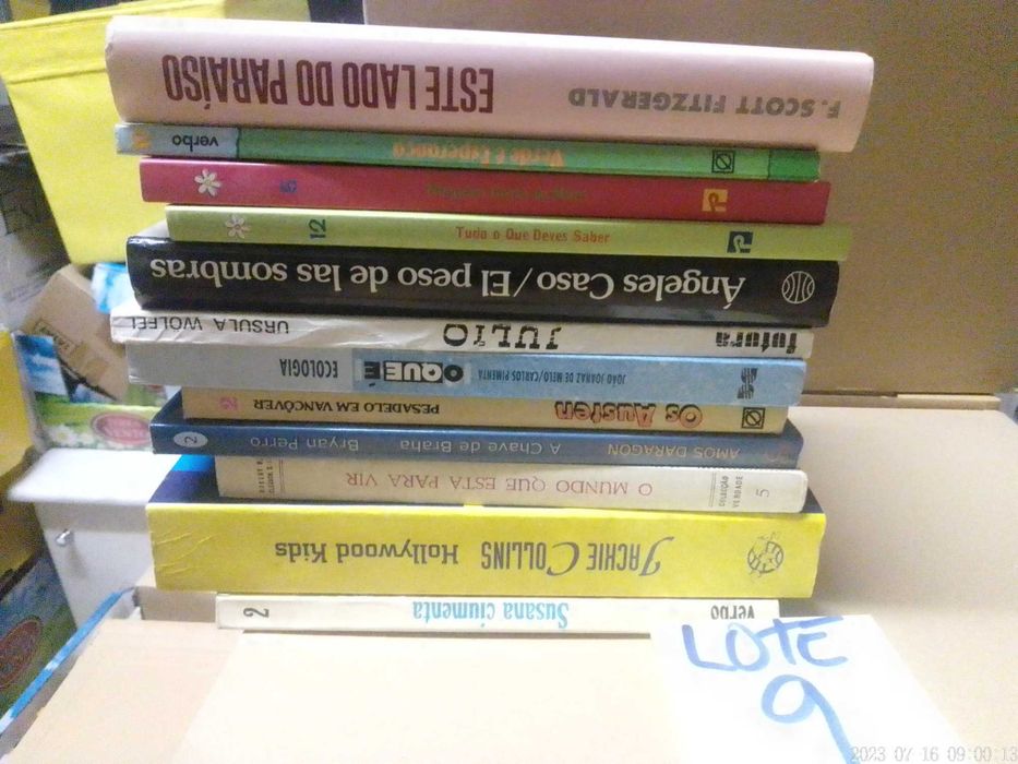 Livros BARATOS Vendidos EM SEPARADO - LOTE 9 - Vários Preços