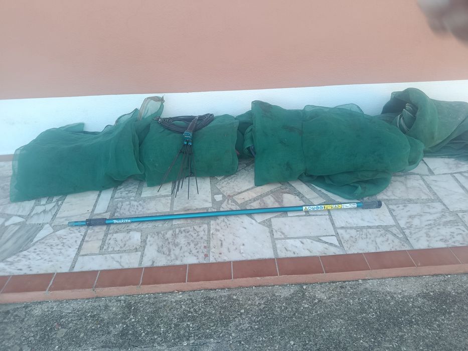 Máquina de azeitonas