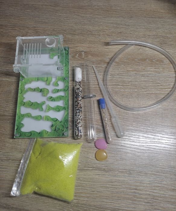 Мурашина  ферма.