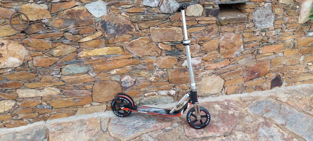 Scooter de rodas grandes RX205