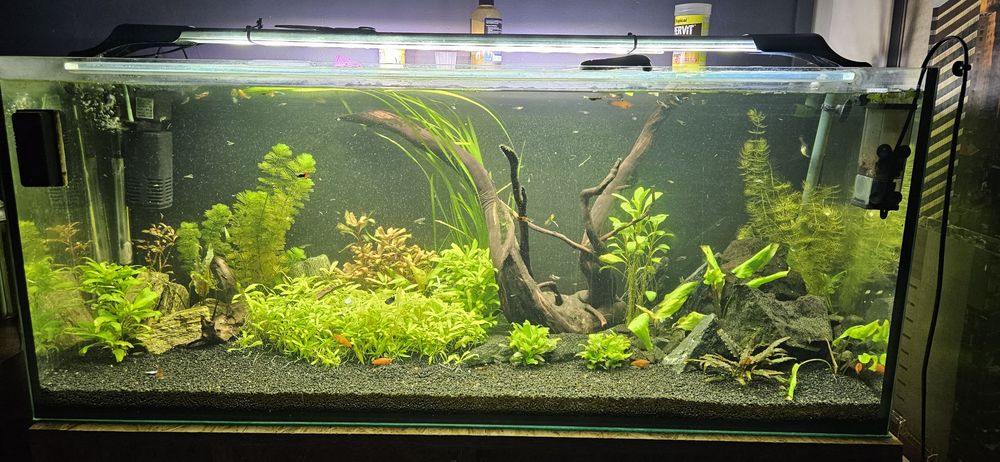 Akwarium 240l z Akcesoriami