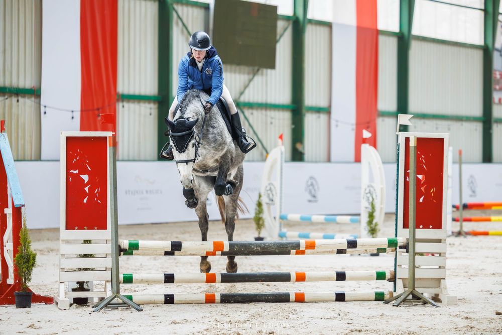 5-letnia startująca klacz ujeżdżenie/skoki CZYSTY TUV