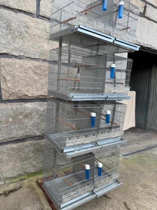 Viveiros Duplos Galvanizados