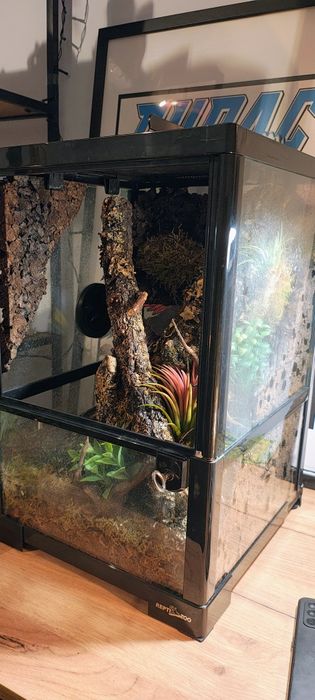 Sprzedam kompletne terrarium 30x30x45