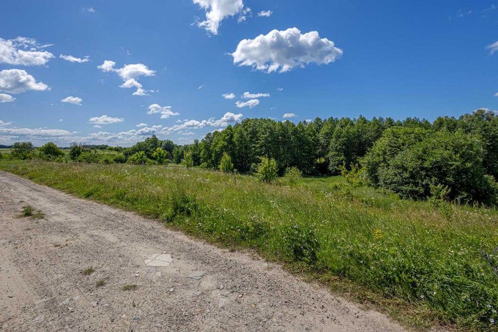 Якісний будинок  104 кв.м. поруч з лісом с. Білогородка