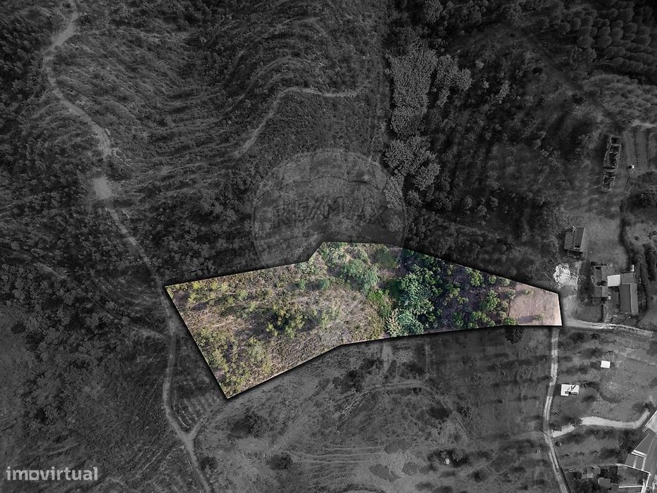 Terreno  para venda