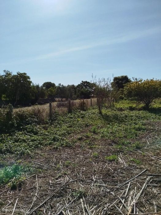 Terreno para venda em Pexiligais - Algueirão - Sintra