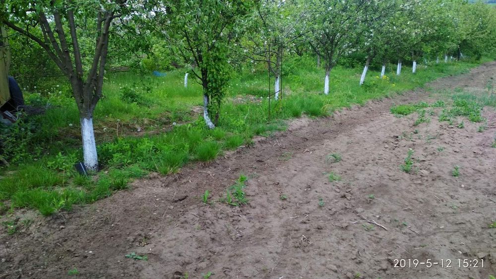 Земельна ділянка для будівництватва будинку та присадибна ділянка