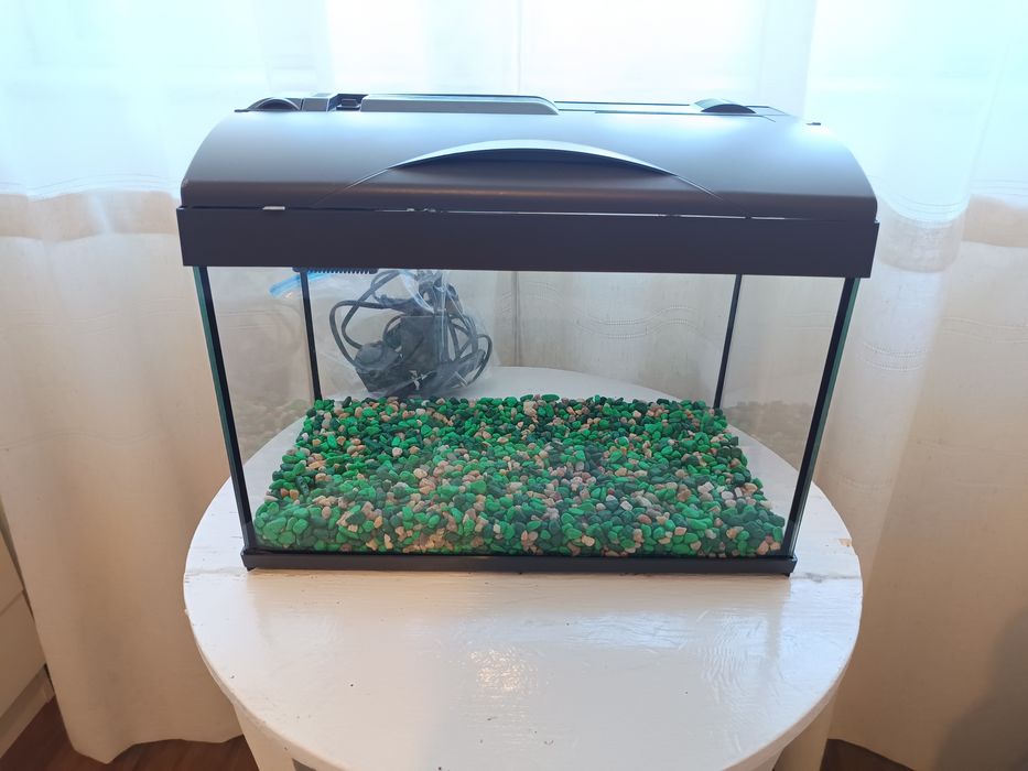 Aquário para peixes