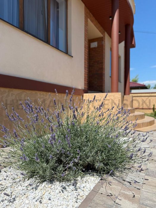 Дом по адресу Петефі Шандора пл. (площадь 258 м²) - Atlanta.ua - фото 23