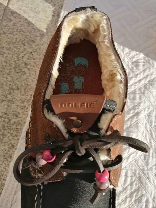 Vários modelos Dolfie