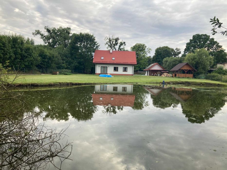 Pokoje do wynajęcia, noclegi