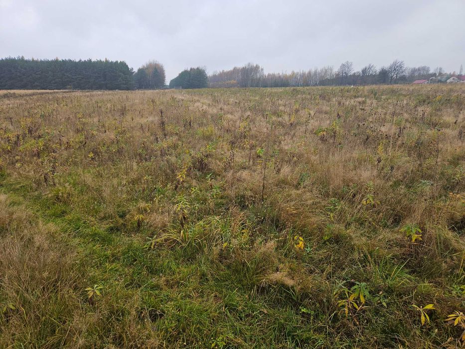 Działki na sprzedaż Trzeboś