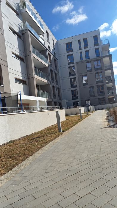Od zaraz Sobola Biel do wynajęcia