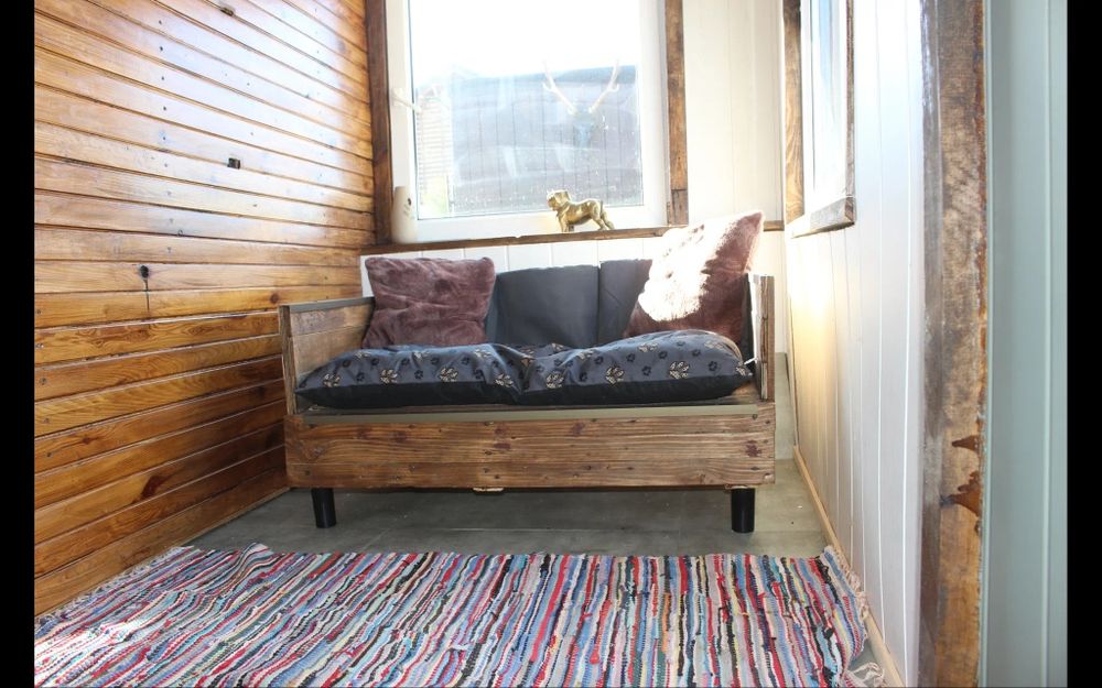 Hotel dla psów i kotow