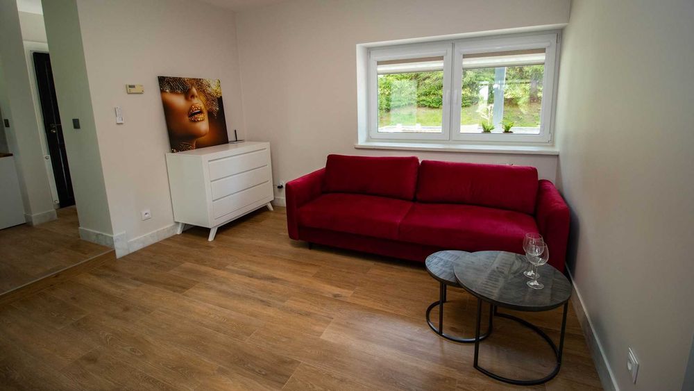 Apartamenty Noclegi Węgorzewo Kolonia Rybacka Ogonki Mazury