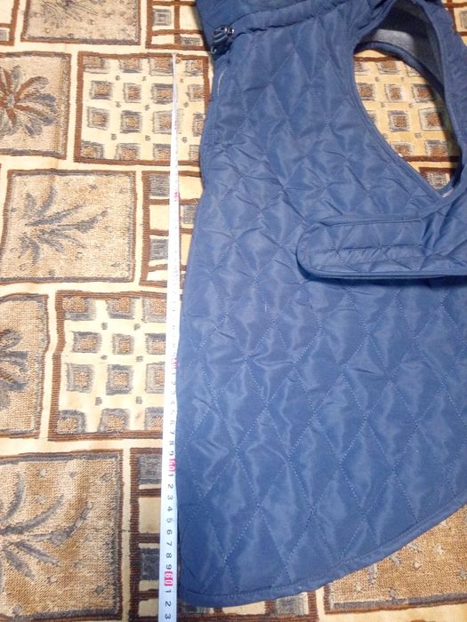 Одежда для собак