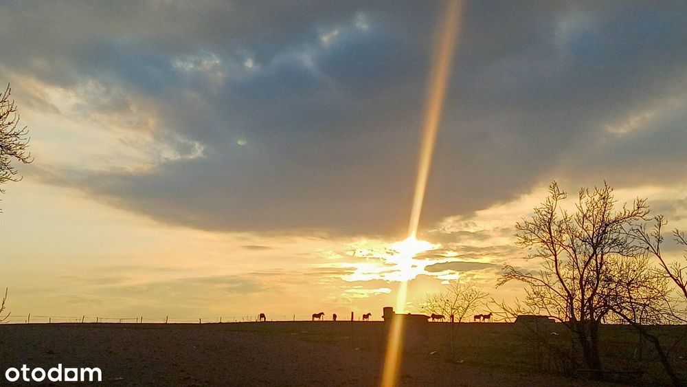 Siedlisko z łąką o łącznej powierzchni 1,12 ha - View 4