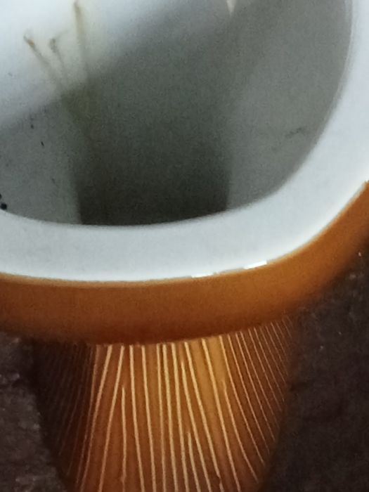 Vendo espelho de casa de banho, um lavatório, e uma sanita.