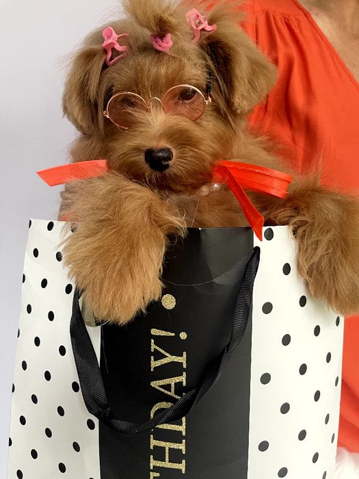 Всього 3 Чарівні Помапу