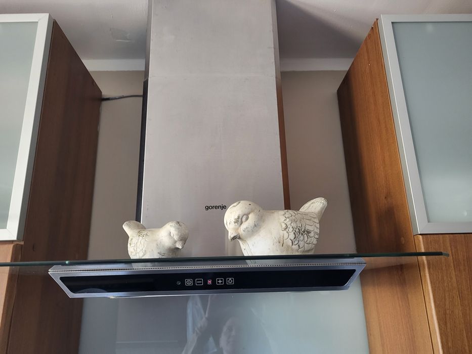 Okap z pochłaniaczem Gorenje