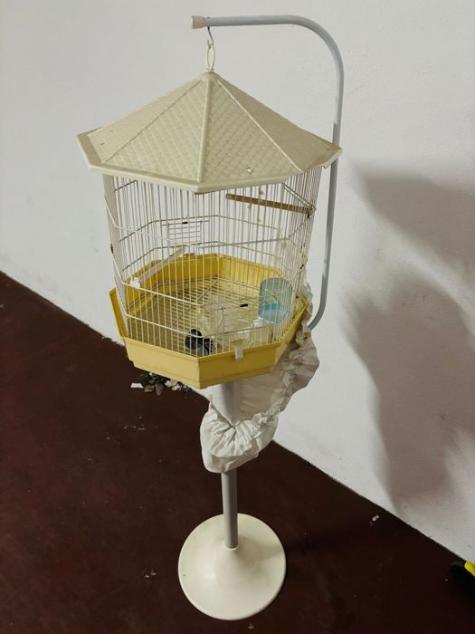Gaiola de pé branca