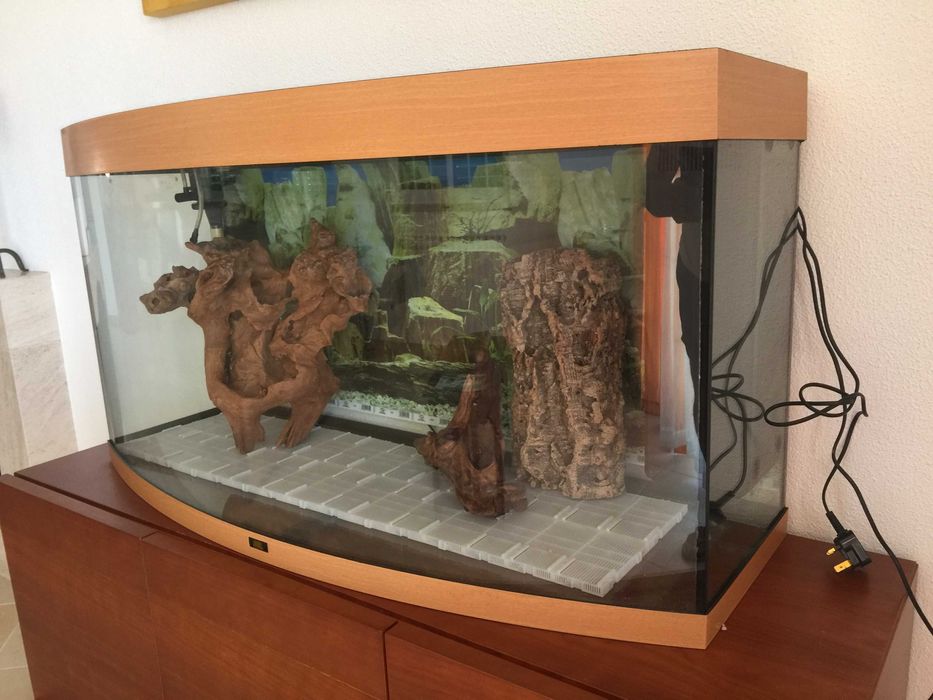 Aquario, Juwel vision 260