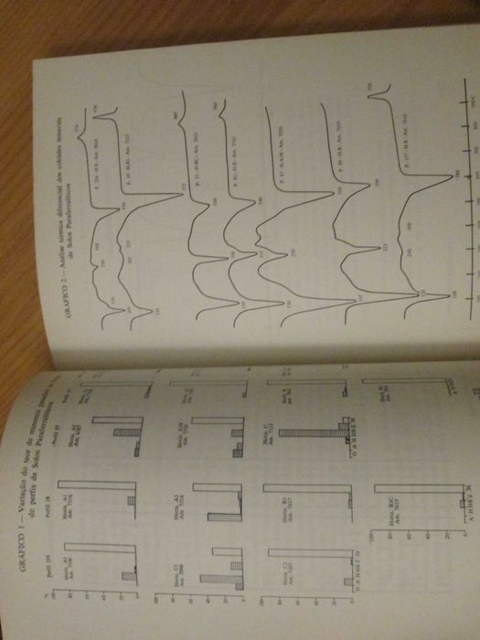 Mineralogia dos solos de S. Tomé e Príncipe, PISSARRA, CARDOSO, GARCIA
